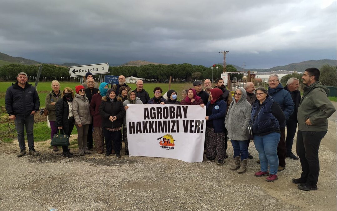 Agrobay Kazandı, Devam eden mücadele!
