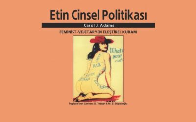 ETİN CİNSEL POLİTİKASI KİTABI ÜZERİNE…