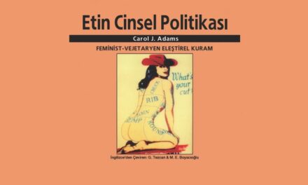 ETİN CİNSEL POLİTİKASI KİTABI ÜZERİNE…