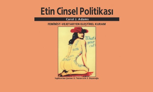 ETİN CİNSEL POLİTİKASI KİTABI ÜZERİNE…